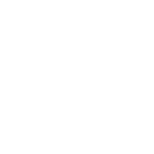 Video abspielen
